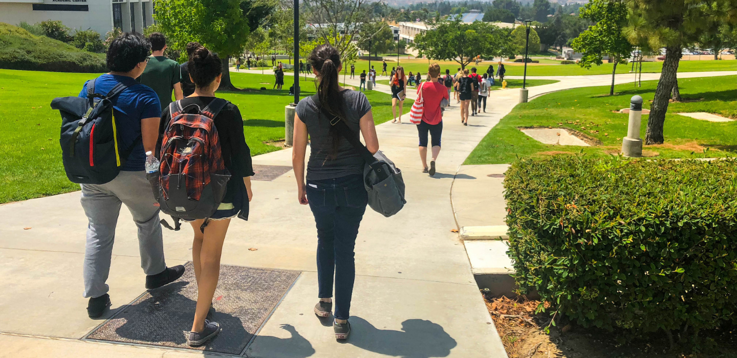 Students walk on pathway, pictured from behind